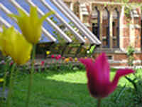 The Bar at Keble College